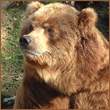 Potapovsv2010